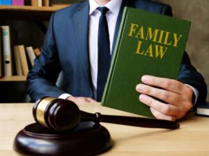 A Guide To Know About Family Lawyers