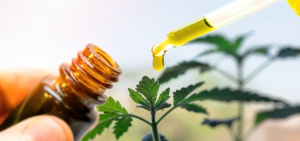 Check these tips for buying CBD online