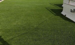 Do you think installing artificial grass saves your time and energy?