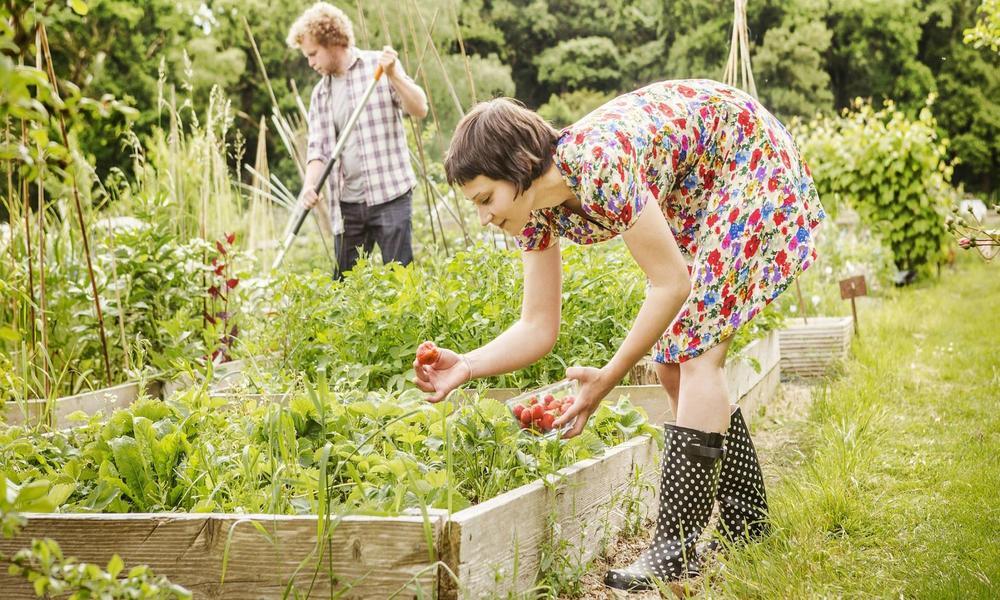 Amazing Advantages of Growing Your Vegetables