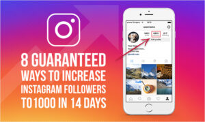 Revolutionize Your Instagram Growth with Ins Follow Pro