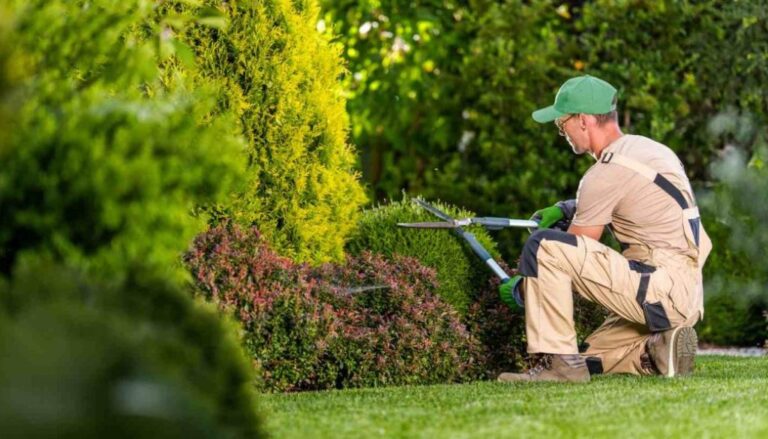 The importance of grounds maintenance for corporate image