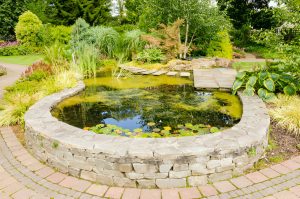 Planning for Your Perfect Pond Design