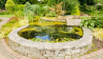 Perfect Pond Design